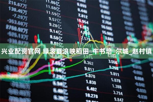 兴业配资官网 绿波夏浪映稻田_牛书培_尔城_赵村镇