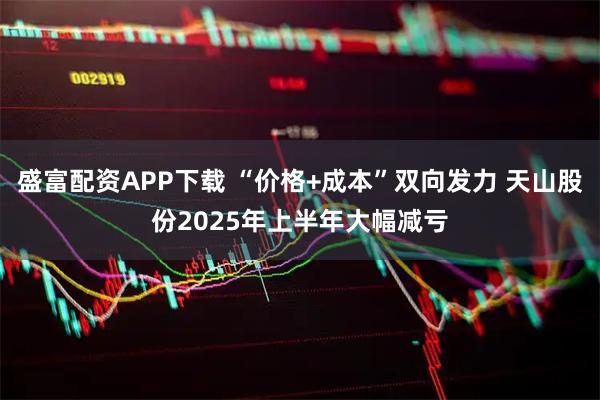 盛富配资APP下载 “价格+成本”双向发力 天山股份2025年上半年大幅减亏