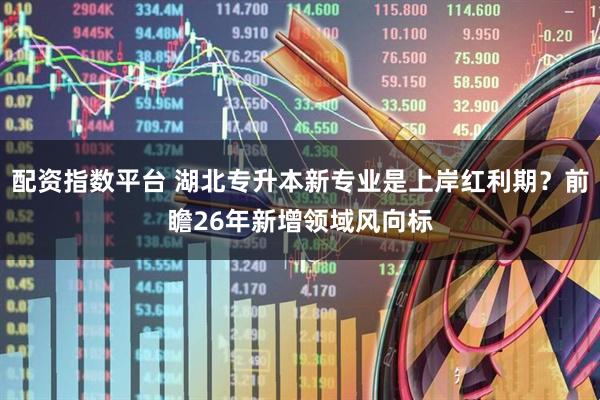 配资指数平台 湖北专升本新专业是上岸红利期？前瞻26年新增领域风向标