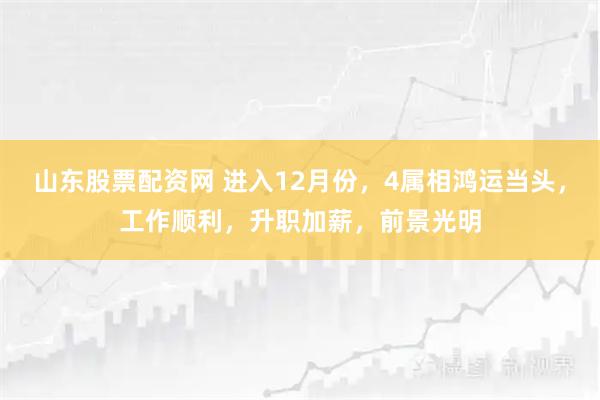 山东股票配资网 进入12月份，4属相鸿运当头，工作顺利，升职加薪，前景光明