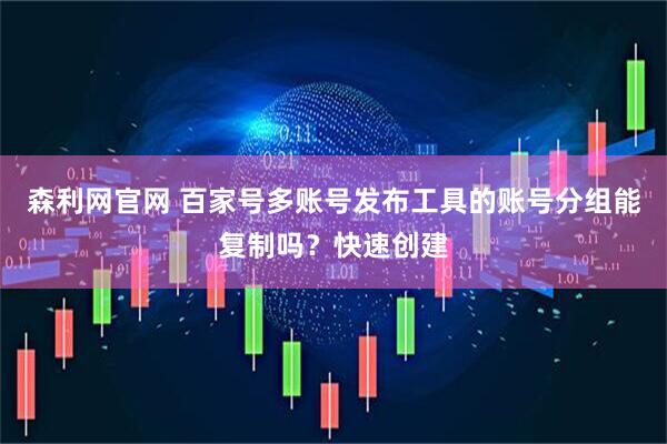 森利网官网 百家号多账号发布工具的账号分组能复制吗？快速创建