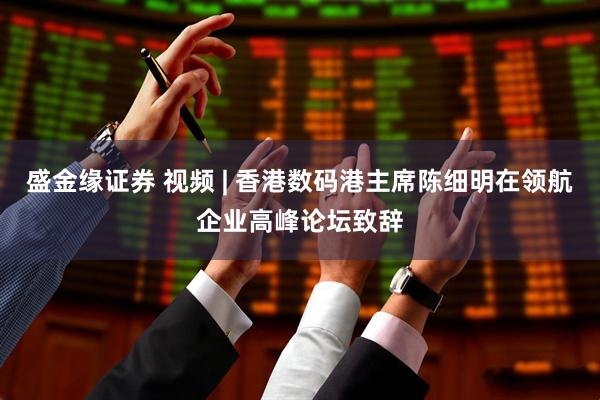 盛金缘证券 视频 | 香港数码港主席陈细明在领航企业高峰论坛致辞